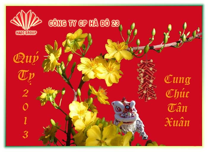 Chúc mừng năm mới 2013